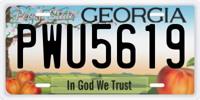 GA license plate PWU5619