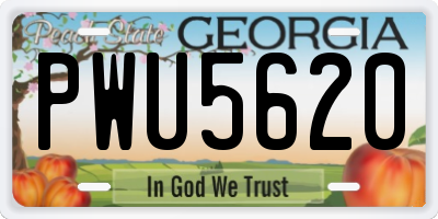 GA license plate PWU5620