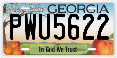 GA license plate PWU5622