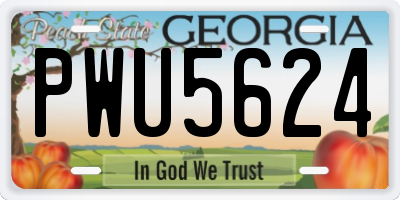 GA license plate PWU5624