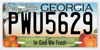 GA license plate PWU5629
