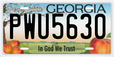 GA license plate PWU5630