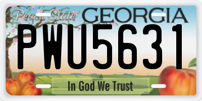 GA license plate PWU5631