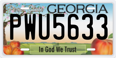 GA license plate PWU5633