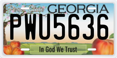 GA license plate PWU5636