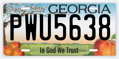 GA license plate PWU5638