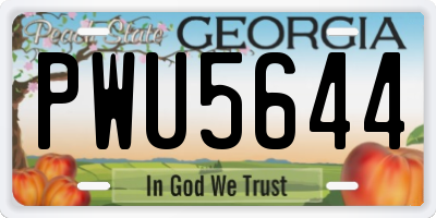 GA license plate PWU5644