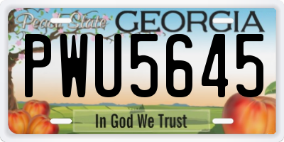 GA license plate PWU5645