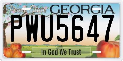 GA license plate PWU5647