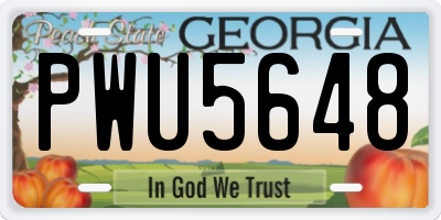 GA license plate PWU5648