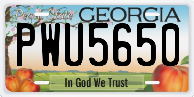 GA license plate PWU5650