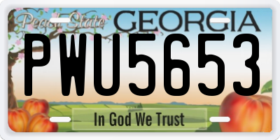 GA license plate PWU5653