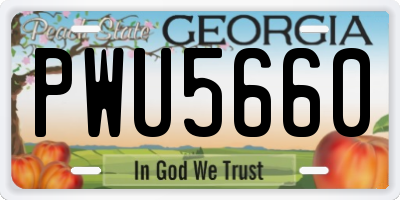 GA license plate PWU5660