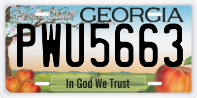 GA license plate PWU5663