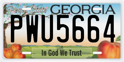 GA license plate PWU5664