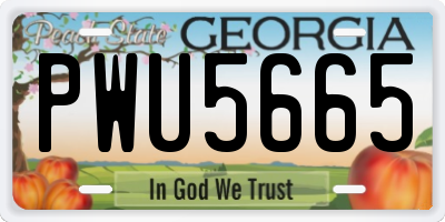 GA license plate PWU5665