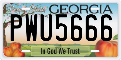 GA license plate PWU5666