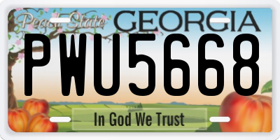 GA license plate PWU5668