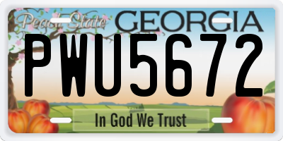 GA license plate PWU5672
