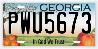 GA license plate PWU5673