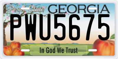 GA license plate PWU5675