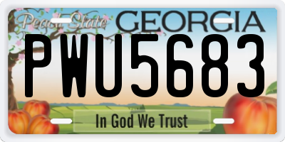 GA license plate PWU5683