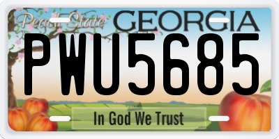 GA license plate PWU5685
