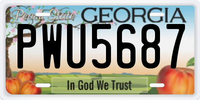 GA license plate PWU5687