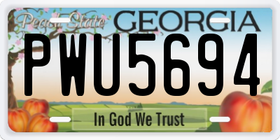 GA license plate PWU5694