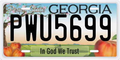 GA license plate PWU5699