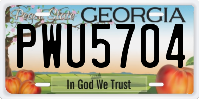 GA license plate PWU5704