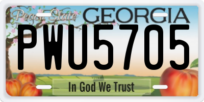 GA license plate PWU5705