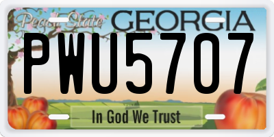 GA license plate PWU5707