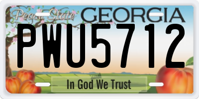 GA license plate PWU5712