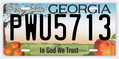 GA license plate PWU5713