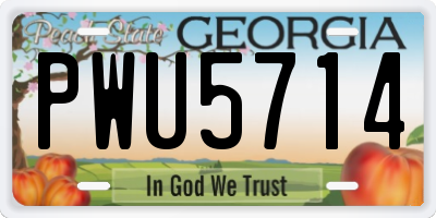 GA license plate PWU5714