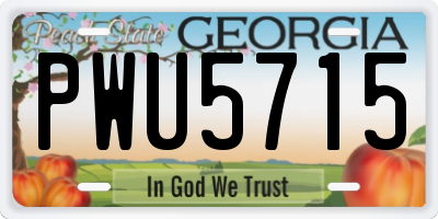 GA license plate PWU5715