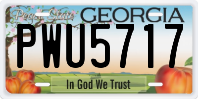 GA license plate PWU5717