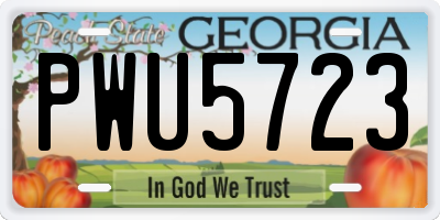 GA license plate PWU5723