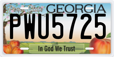 GA license plate PWU5725