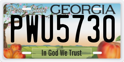 GA license plate PWU5730