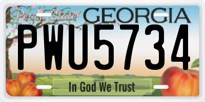 GA license plate PWU5734