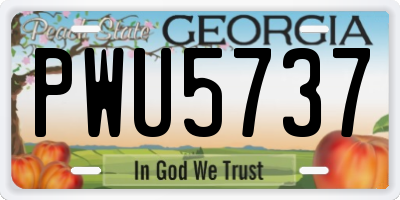 GA license plate PWU5737