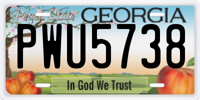 GA license plate PWU5738