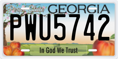 GA license plate PWU5742