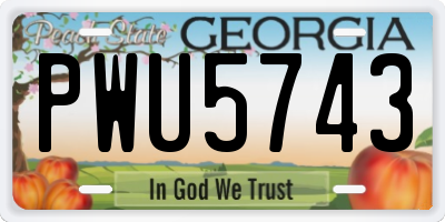 GA license plate PWU5743