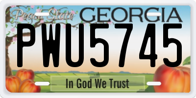 GA license plate PWU5745