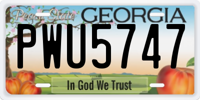 GA license plate PWU5747