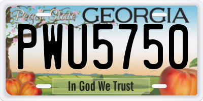 GA license plate PWU5750