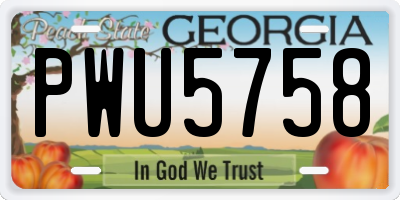 GA license plate PWU5758